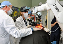 Hair Transplant Technology Hair Transplant Technology